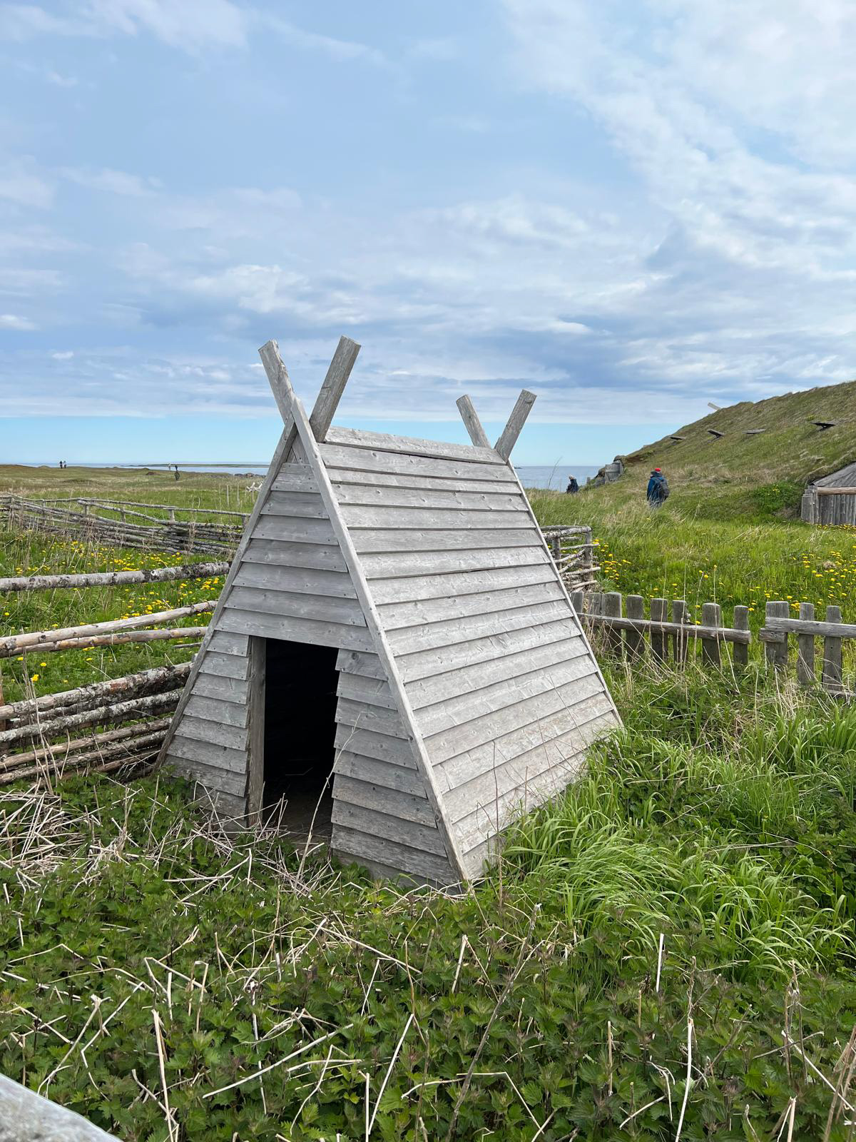 Photography by Chris Allington